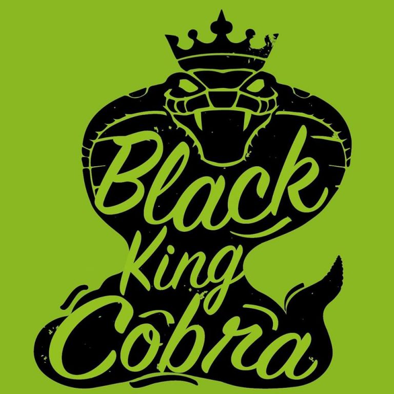 Black King Cobra