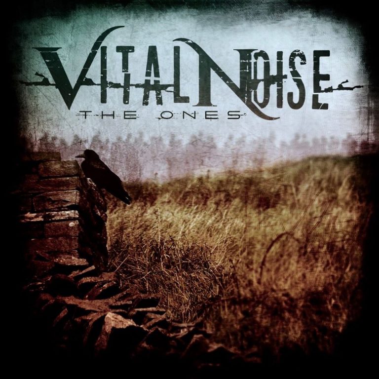 Vital Noise – Interview