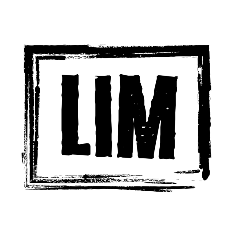 Lost In Majority – Interview
