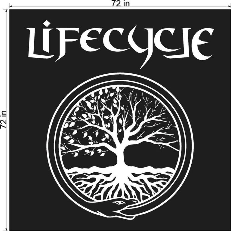 LifeCycle – Interview