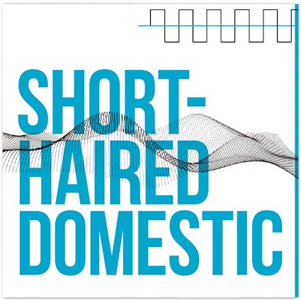 Short-Haired Domestic