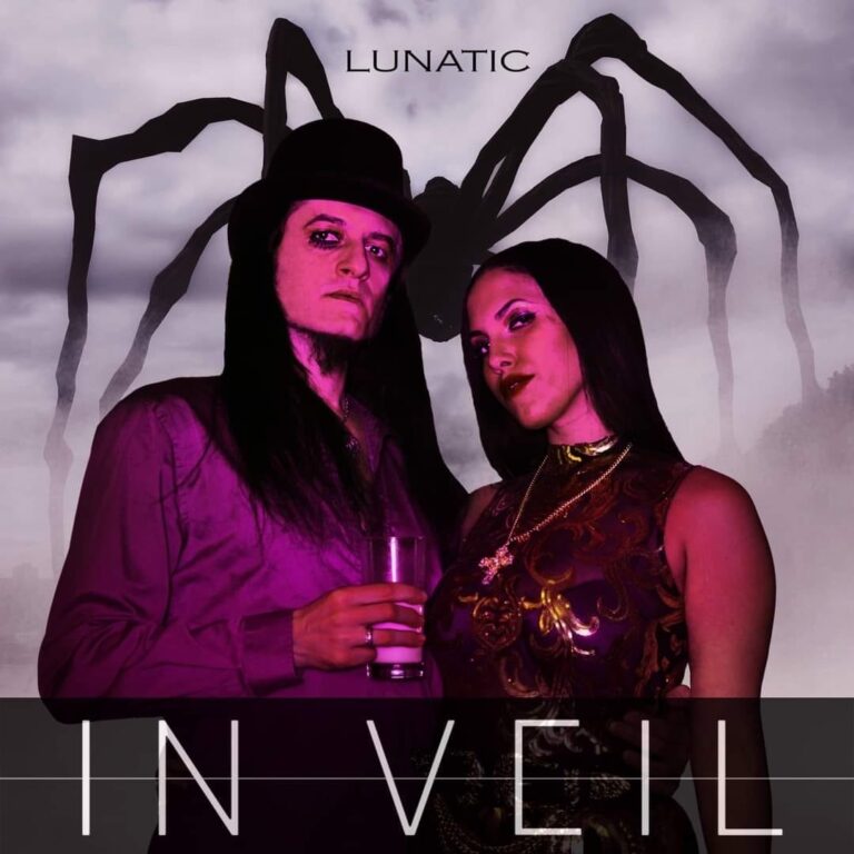 IN Veil – Interview