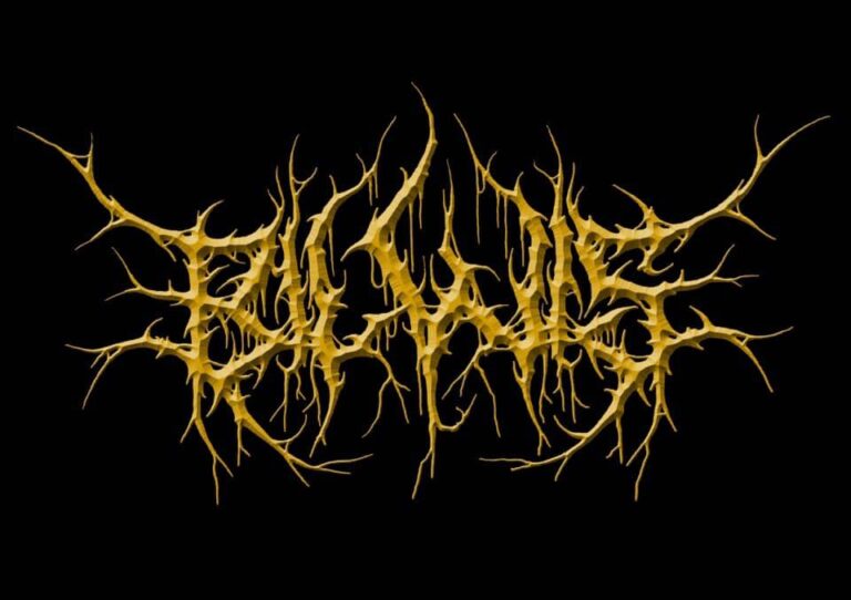 BILWIS – Interview