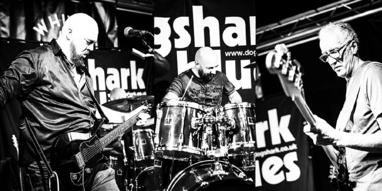Dogshark – Interview